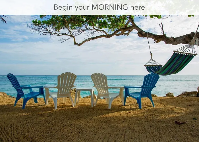 Calypso Jamaica * Montego Bay