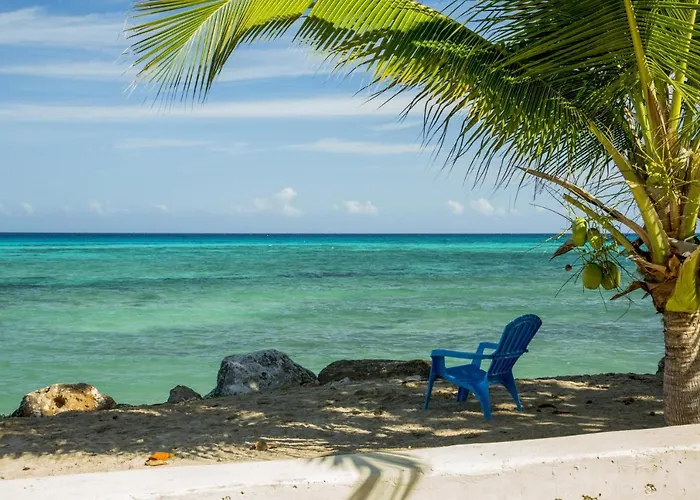Calypso Jamaica